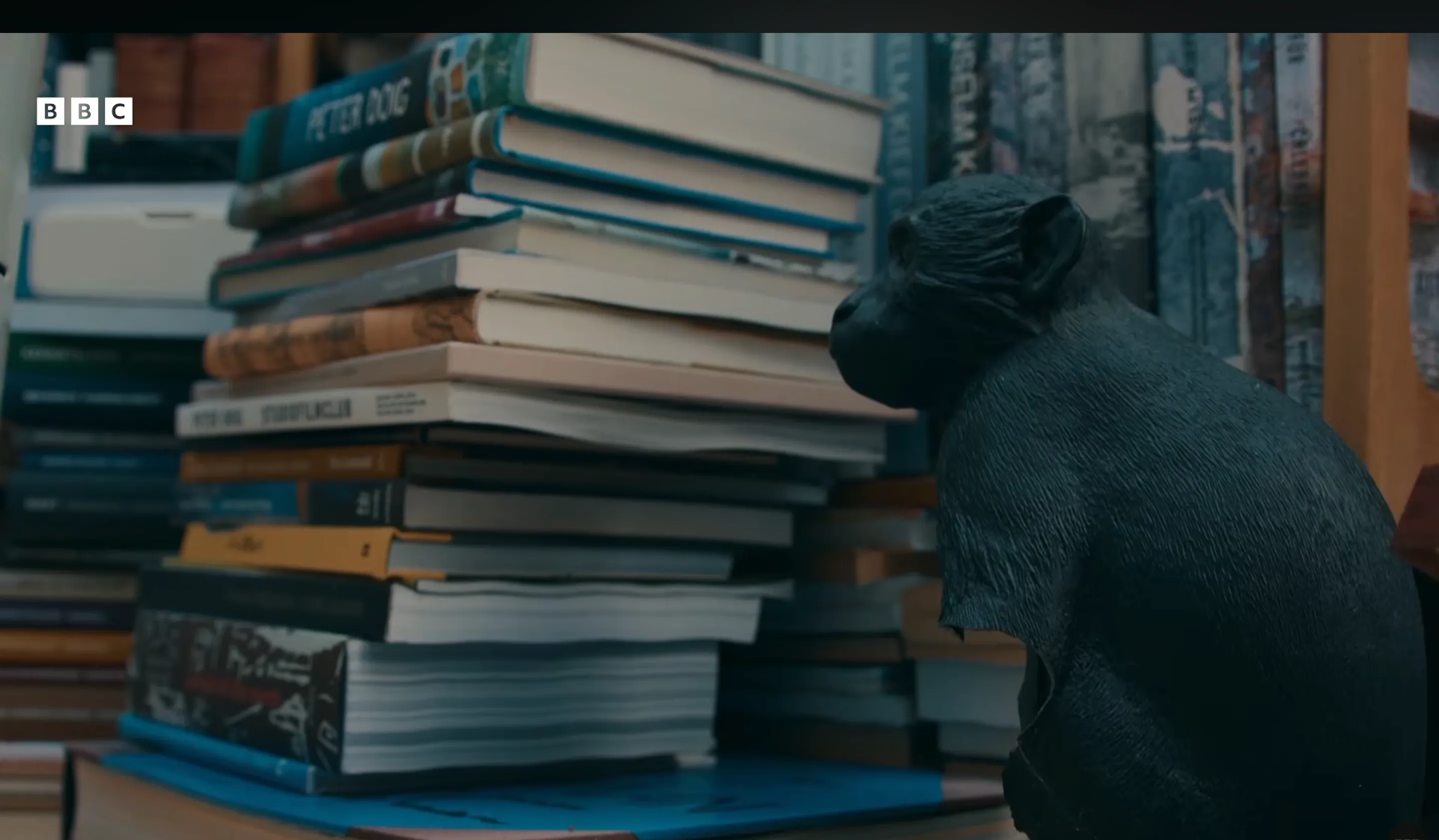 Books on Knausgård’s shelf, screenshot 2